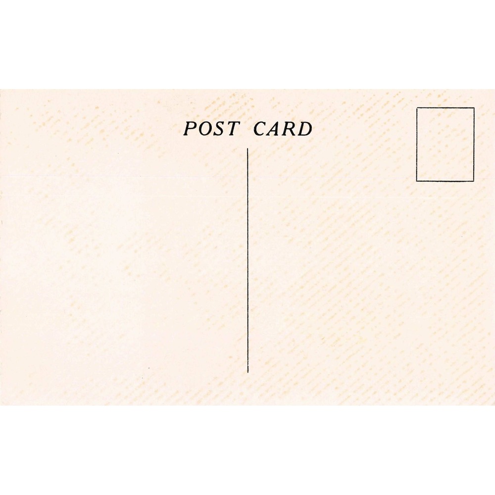 Franklin D Roosevelt Home Snuggery Hyde Park NY Ruth Perkins Safford Postcard - Picture 2 of 2
